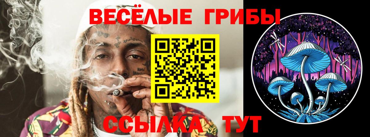 Галлюциногенные грибы Cubensis Нягань