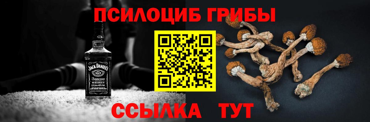 Нягань  Галлюциногенные грибы Psilocybe  Вход с VPN 